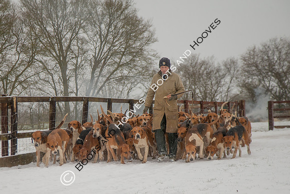 Hound Exercise
