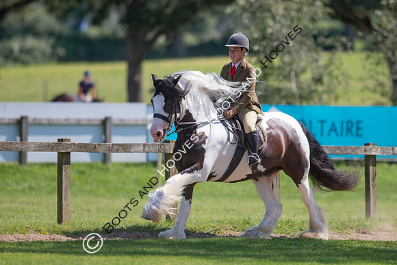 The Prenetics Royal International Horse Show