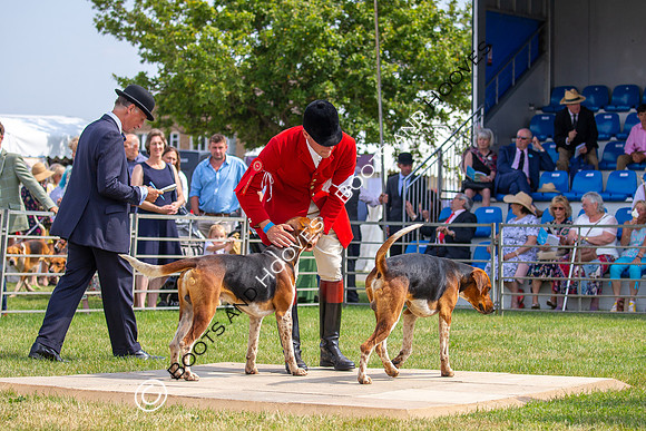 Festival of Hunting