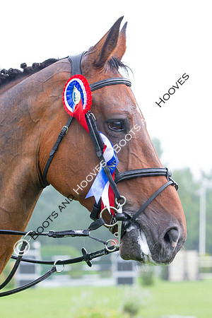 The Prenetics Royal International Horse Show