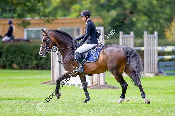 Science Supplements All England Jumping Championships