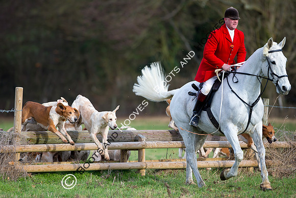 East Essex Hunt. Ladies Day. 29/01/2019 ~ MANDATORY Credit Elli Birch/Bootsandhooves - NO UNAUTHORISED USE - 07745 909676