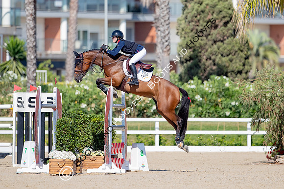 FEI Junior European Championship Young Riders, Juniors & Childre