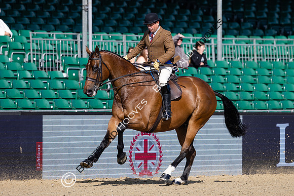 Royal Windsor Horse Show