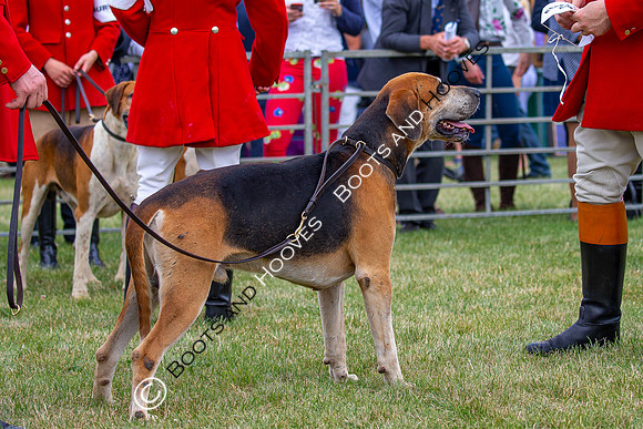 Festival of Hunting