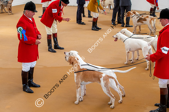 Festival of Hunting