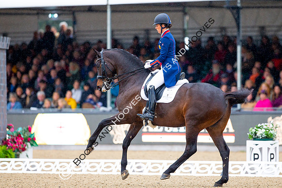 Royal Windsor Horse Show