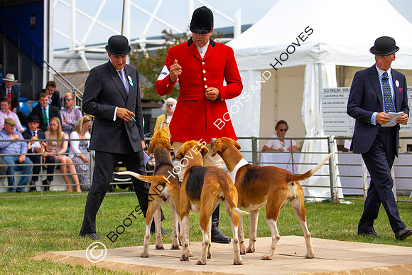 Festival of Hunting