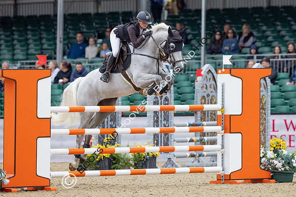 Royal Windsor Horse Show