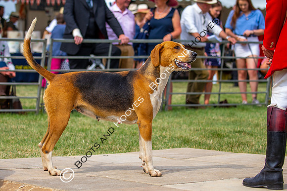 Festival of Hunting