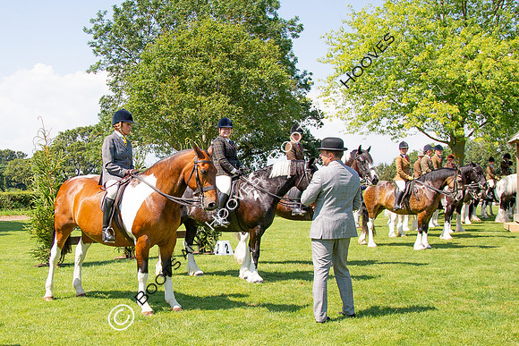 The Prenetics Royal International Horse Show