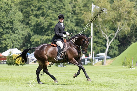 The Agria Royal International Horse Show