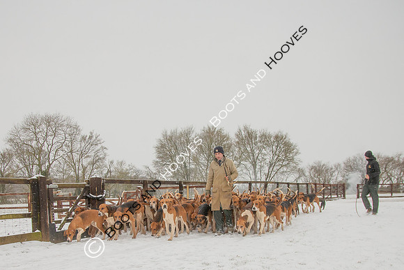 Hound Exercise