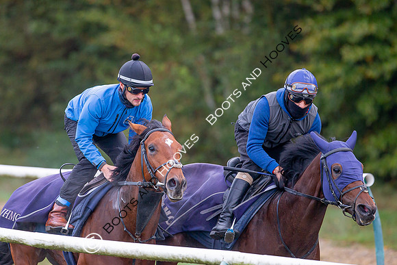Newmarket