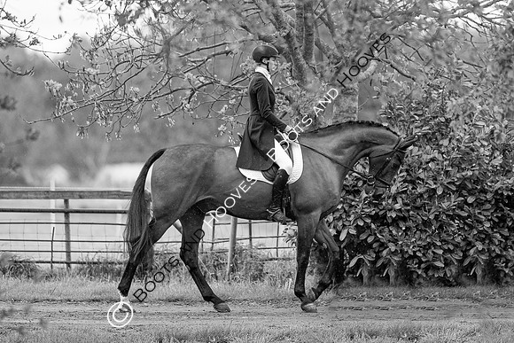 Little Downham International