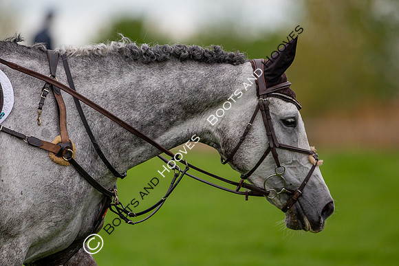 Little Downham International