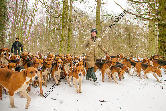 Hound Exercise