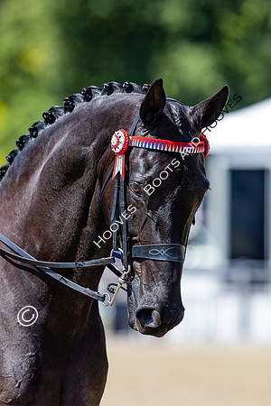 Royal Windsor Horse Show