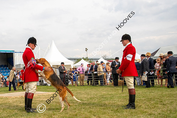 Festival of Hunting