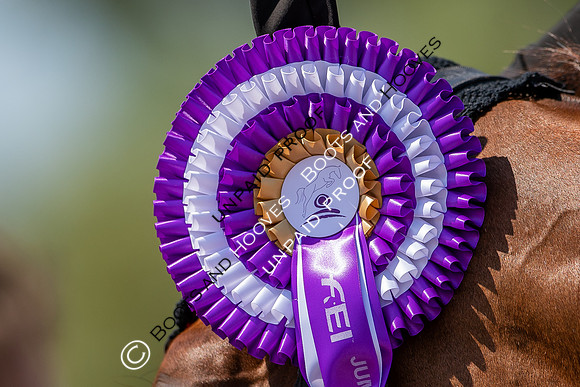 FEI Junior European Championship Young Riders, Juniors & Childre