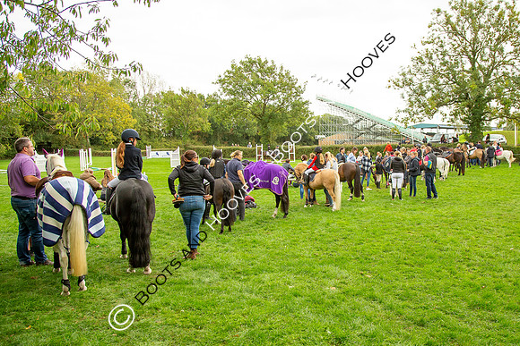 Science Supplements All England Jumping Championships