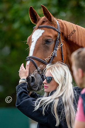 Science Supplements All England Jumping Championships