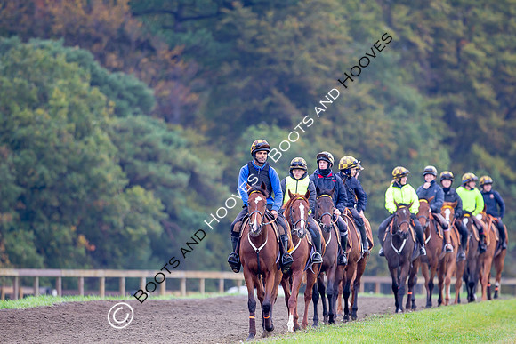 Newmarket