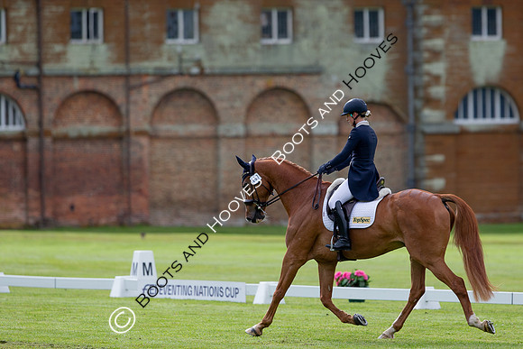 Houghton International