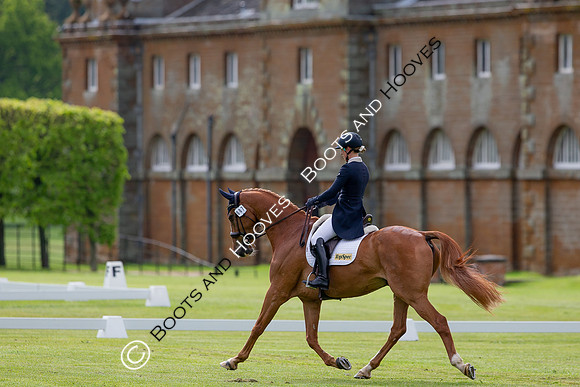 Houghton International