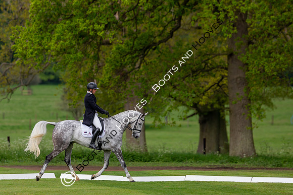 Houghton International
