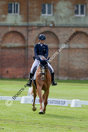 Houghton International