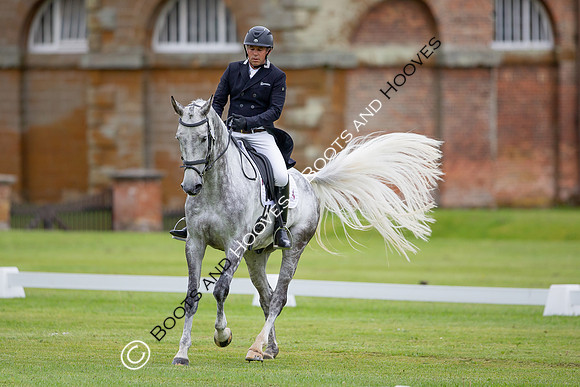 Houghton International