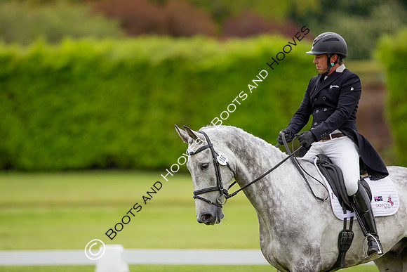 Houghton International