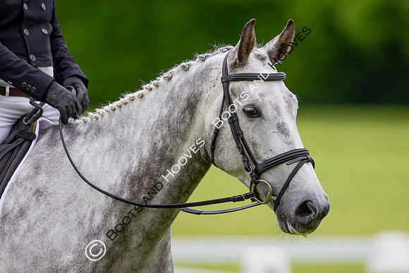 Houghton International