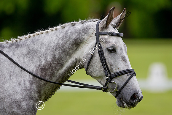 Houghton International