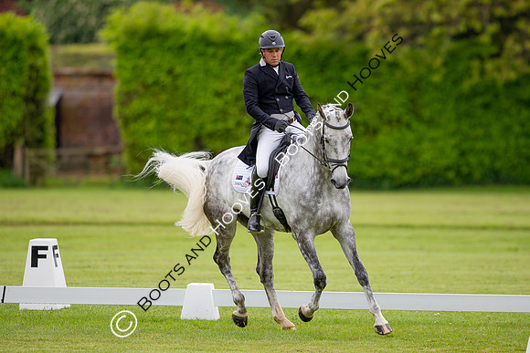 Houghton International