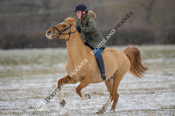 Snow Day