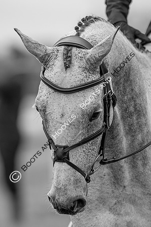 Houghton International