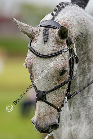 Houghton International