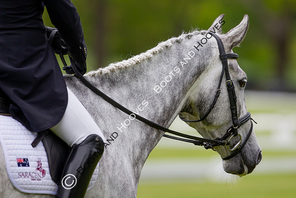 Houghton International