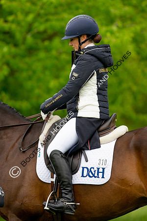 Houghton International