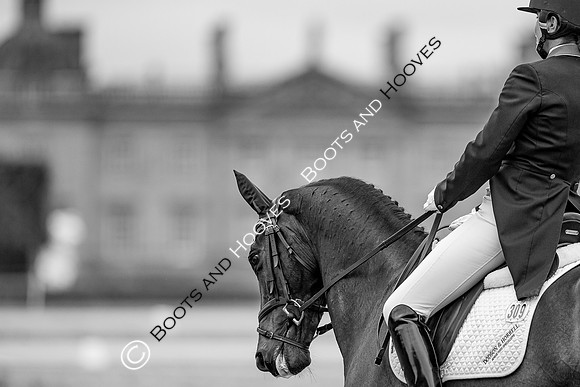 Houghton International