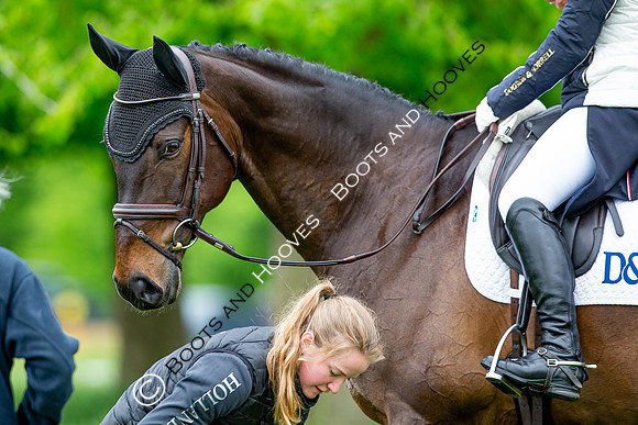 Houghton International