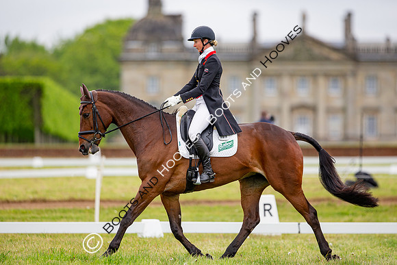 Houghton International