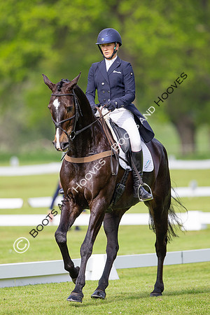 Houghton International