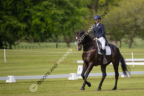 Houghton International
