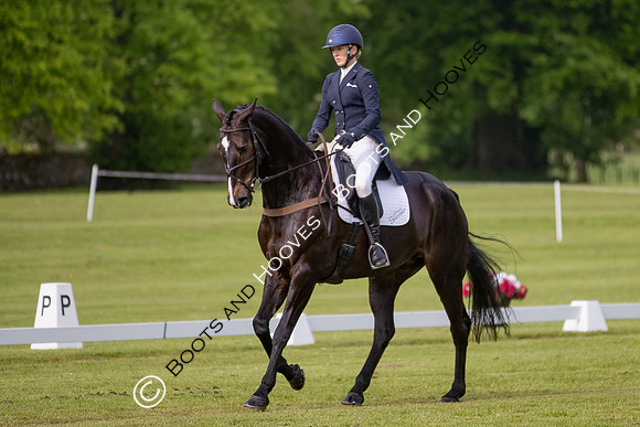 Houghton International