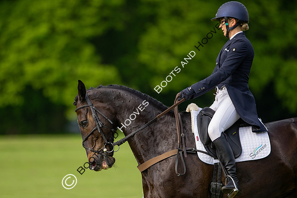 Houghton International