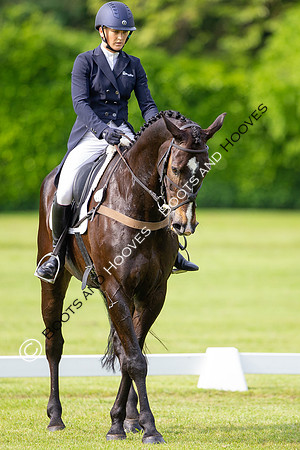Houghton International