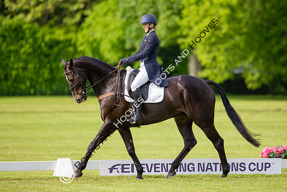 Houghton International